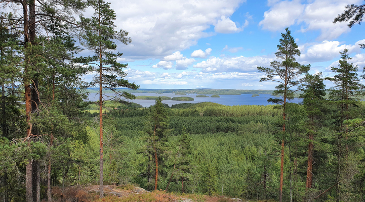 utsiktsplats vid Landsberget. Grön natur i förgrunden, i bakgrunden sjön Åmänningen.