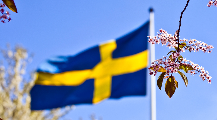 Svenska flaggan vajar i bakgrunden. Fokus i bilden ligger på några rosa syrénkvistar.