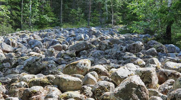 Klapperstensfält. Flera runda stenar ligger tillsammans på en stor yta.